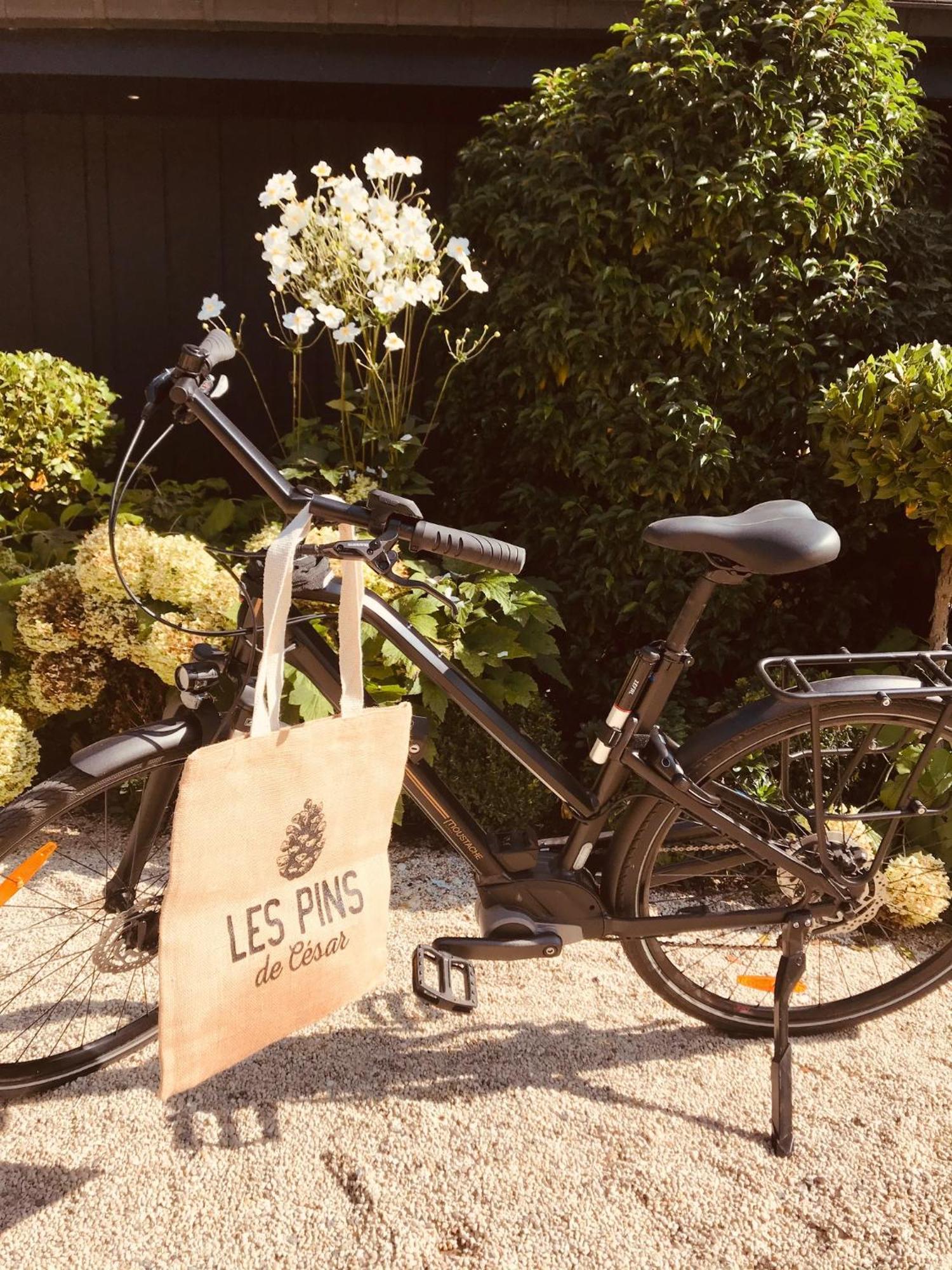 Les Pins De Cesar - La Campagne D'Etretat Hotel Saint-Jouin-Bruneval Luaran gambar